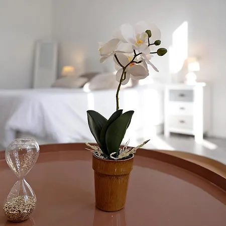 Apartment Casa Manuela Las Palmas de Gran Canaria